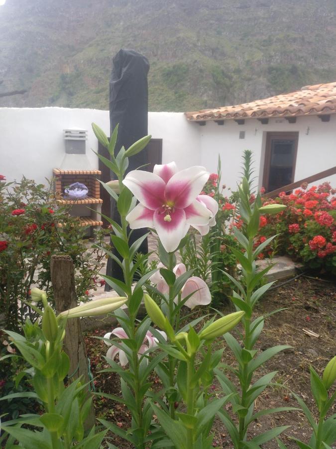 Casa La Plaza Villa Agulo Ngoại thất bức ảnh